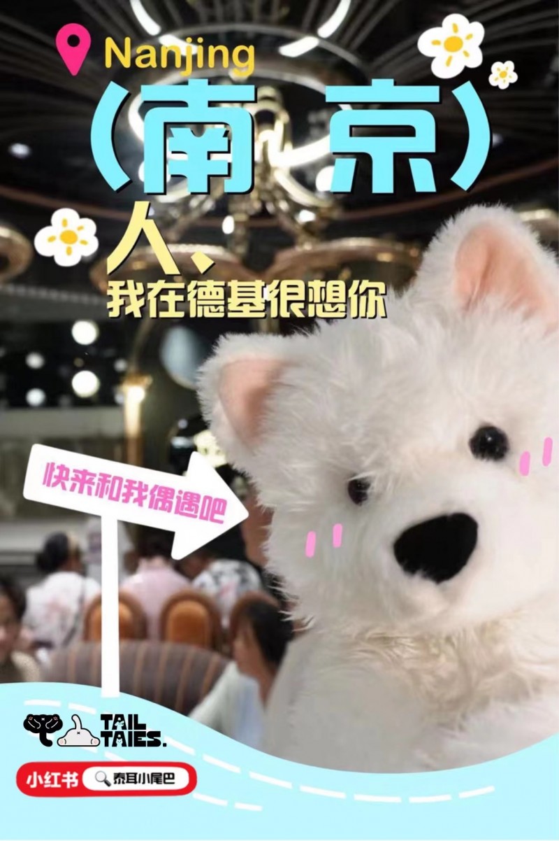 【南京萌宠狂欢】与萨摩耶Mochi一起打卡,领限量周边福利!