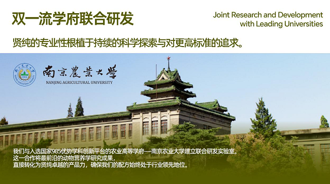 图片26.png