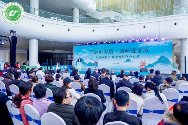 图片 11.jpg
