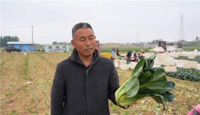 一肥六效，鲁花花生肽肥的化肥替代之路  ——在田间地头实地探访鲁花花生肽肥六大“超能力”