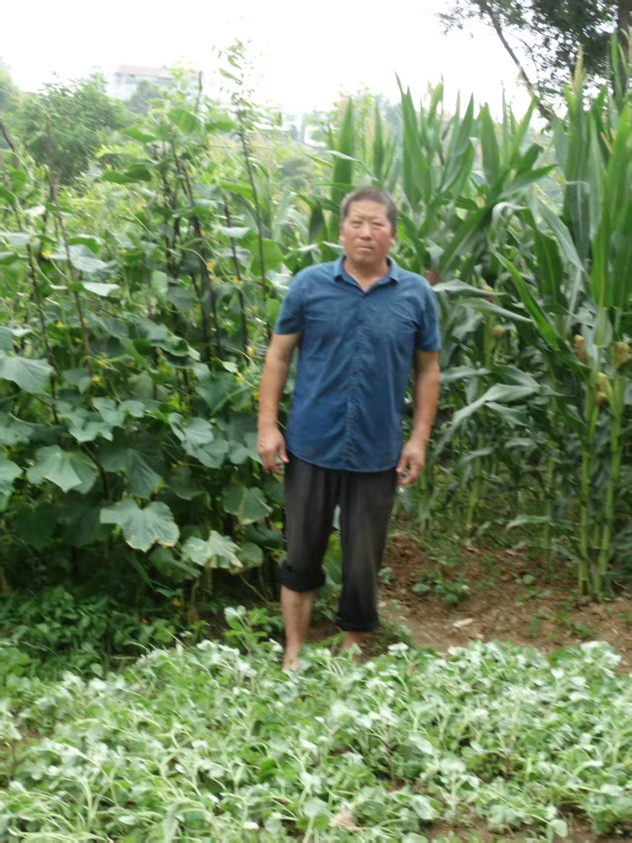 网络影片《宫新贵》湖北随县筹拍 聚焦新时代农民真情故事