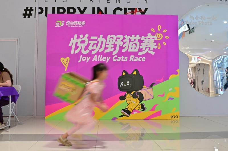 mini悦动野猫赛燃动天津梅江印象城！联动印力花花节解锁文体商融合新热潮