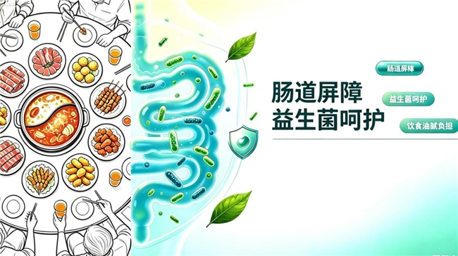 经常聚餐重油腻怎么调理肠道？国内外益生菌分享：平衡肠道菌群呵护肠屏障